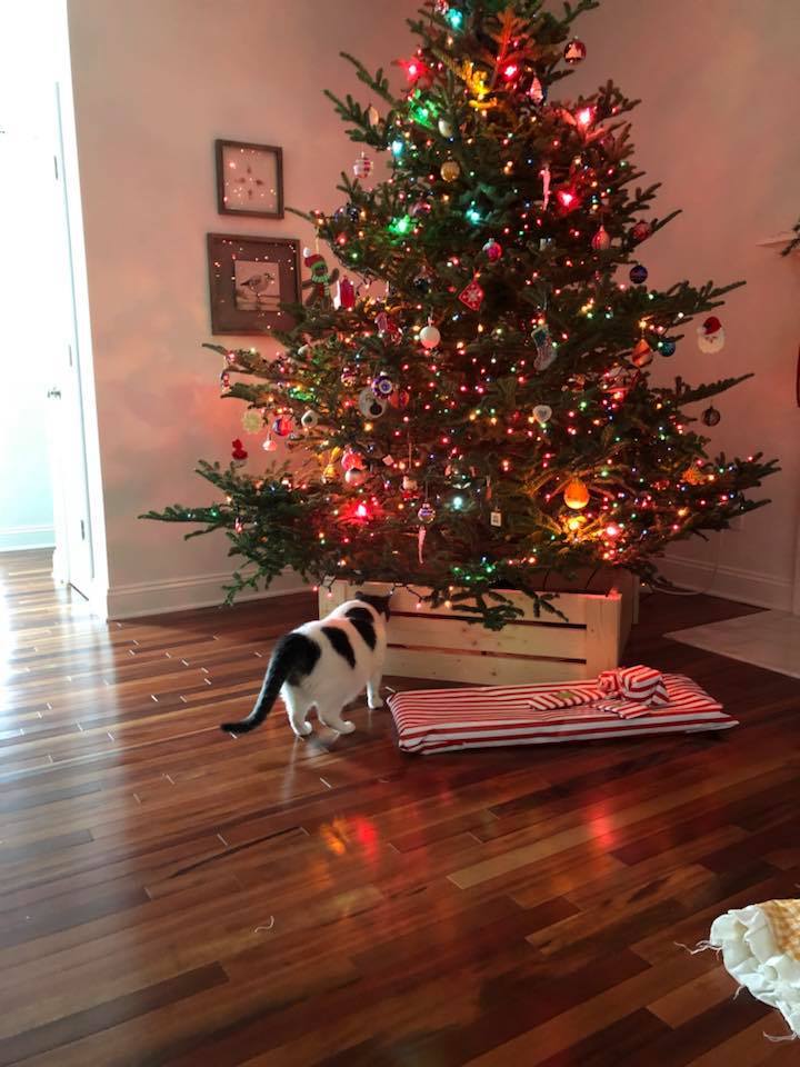 Ana White Christmas Tree Collar DIY Projects